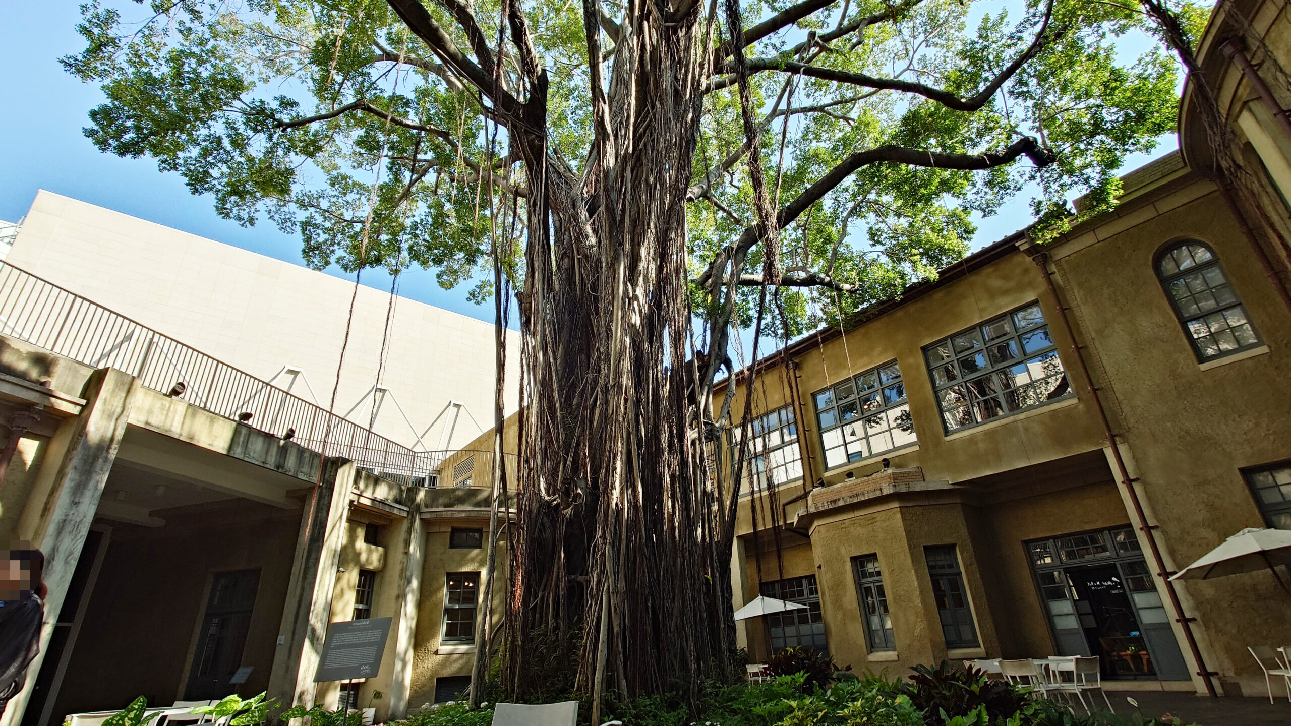 台南市美術館